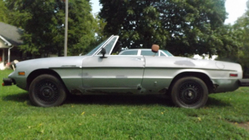 Illustration for article titled i will never get tired of taking pictures of the alfa